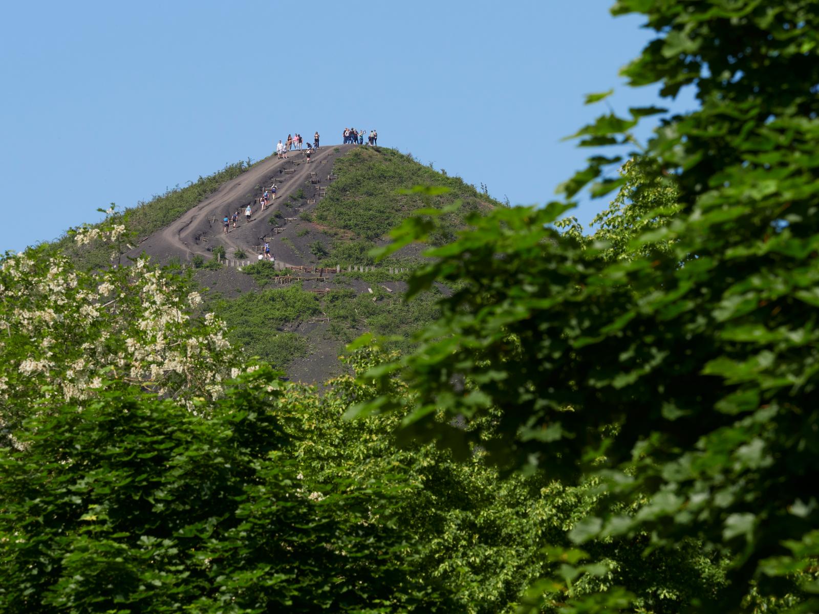 Loos-en-Gohelle : groupe de randonneurs sur le terril du 11-19