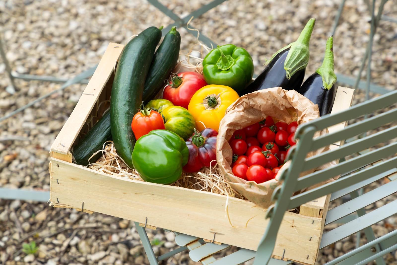 Omiécourt - Château d'Omiécourt : cagette de légumes du jardin
