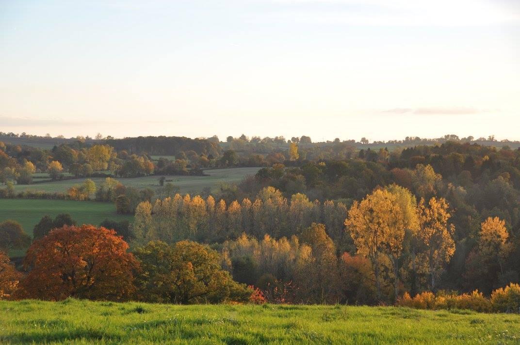 Héricourt-sur-Thérain : les jardins de Beauve 64