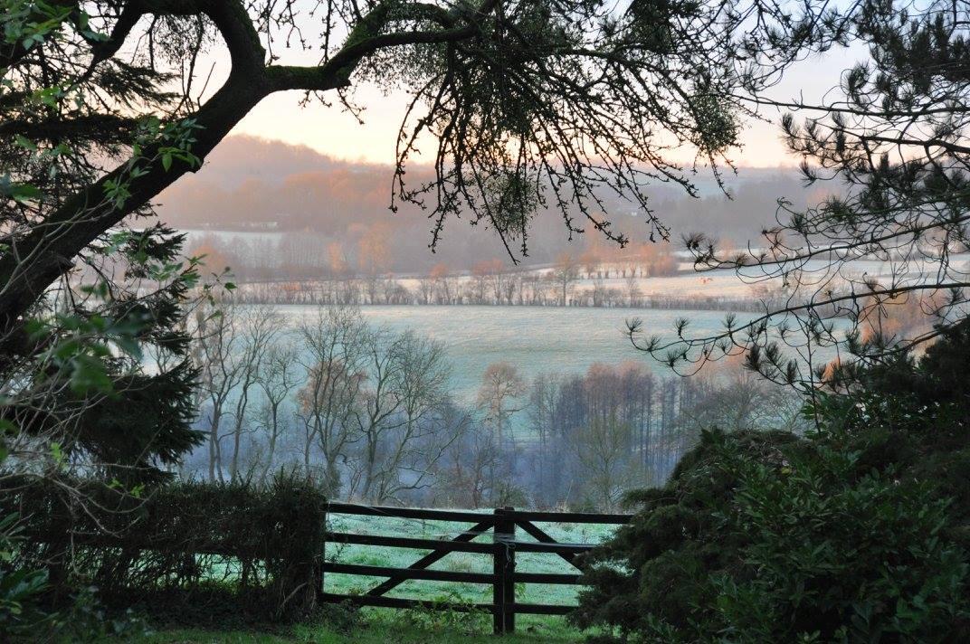 Héricourt-sur-Thérain : les jardins de Beauve 63