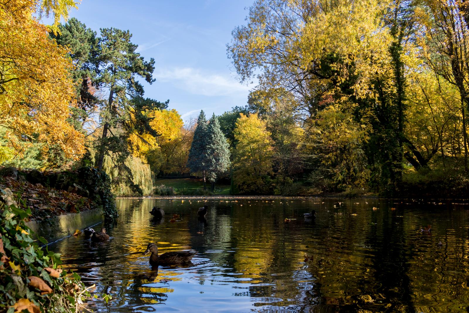 Douai : Parc Bertin 02