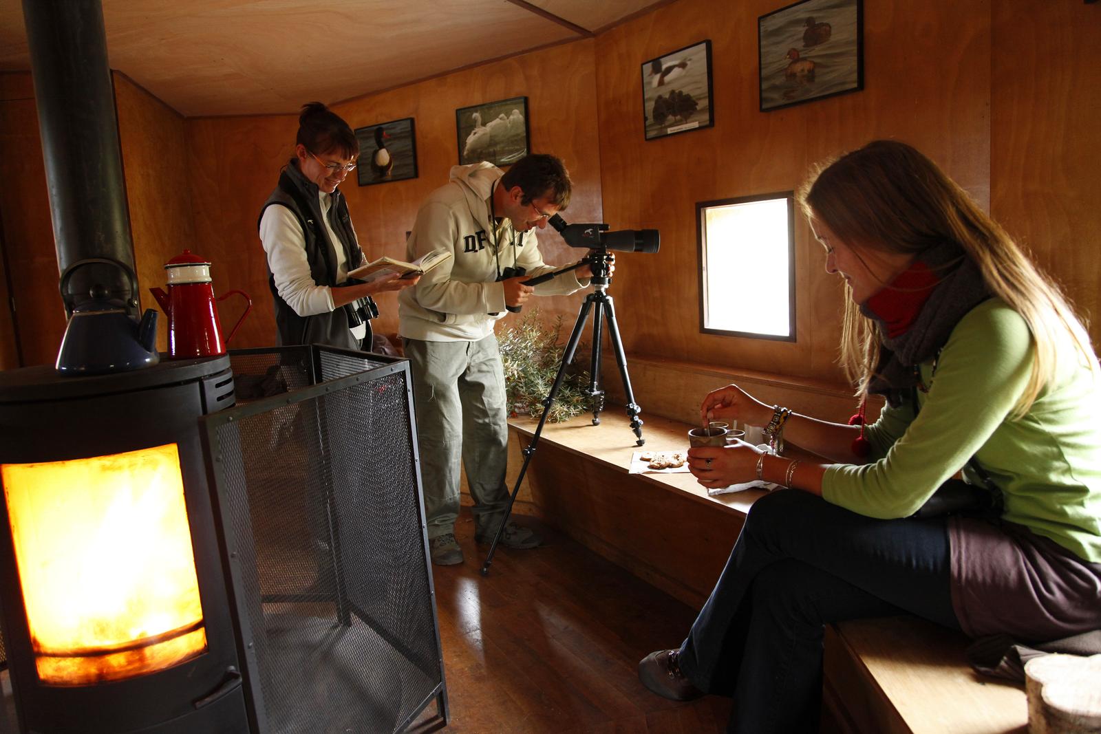Saint-Quentin-en-Tourmont : observation au parc du Marquenterre