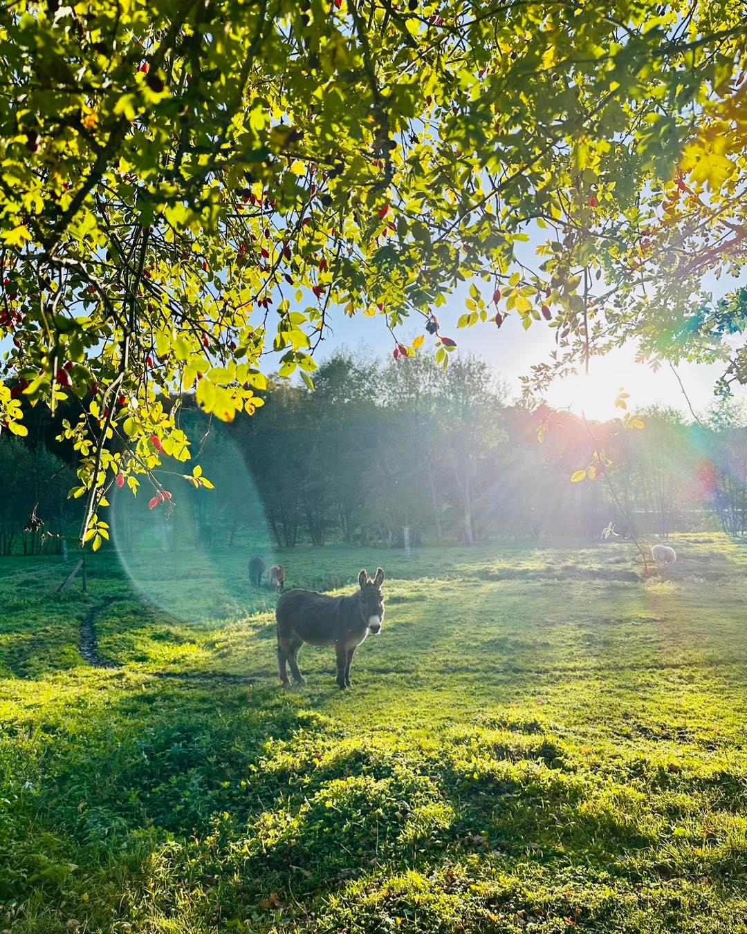 Roy-Boissy : camping Pause du Vieux Moulin 02