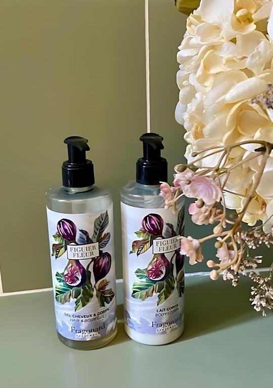 Ermenonville : Château d'Ermenonville 19