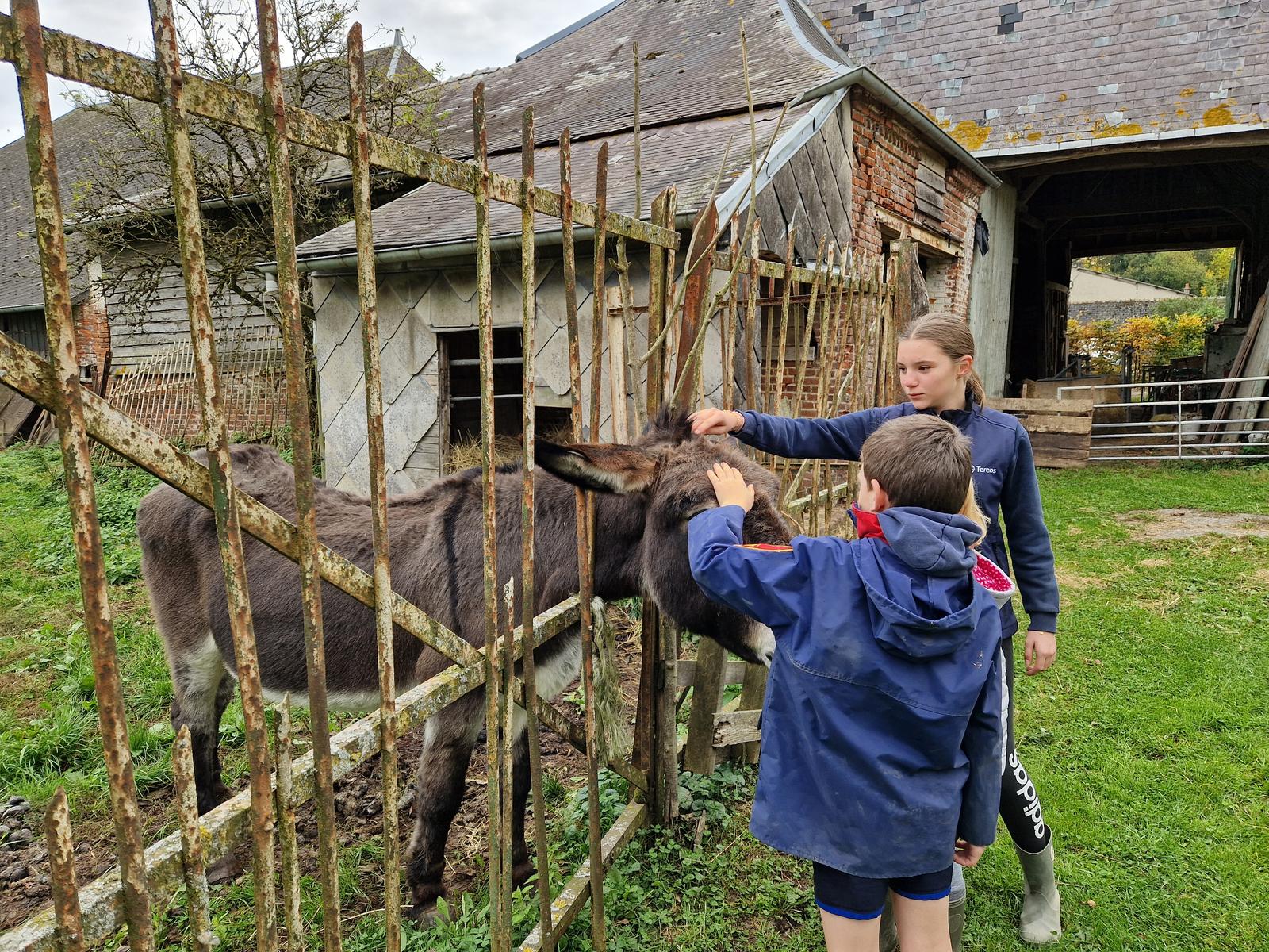 Eparcy - chambre d'hôtes la Ferme du Château 22