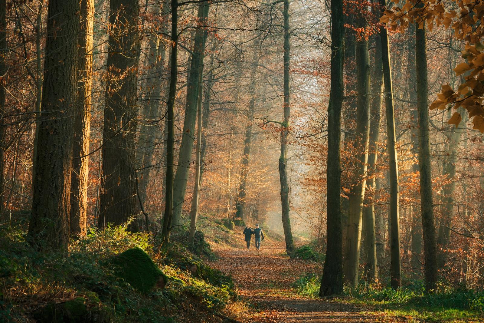 Couple en forêt à l'automne_iStock-2231270077-