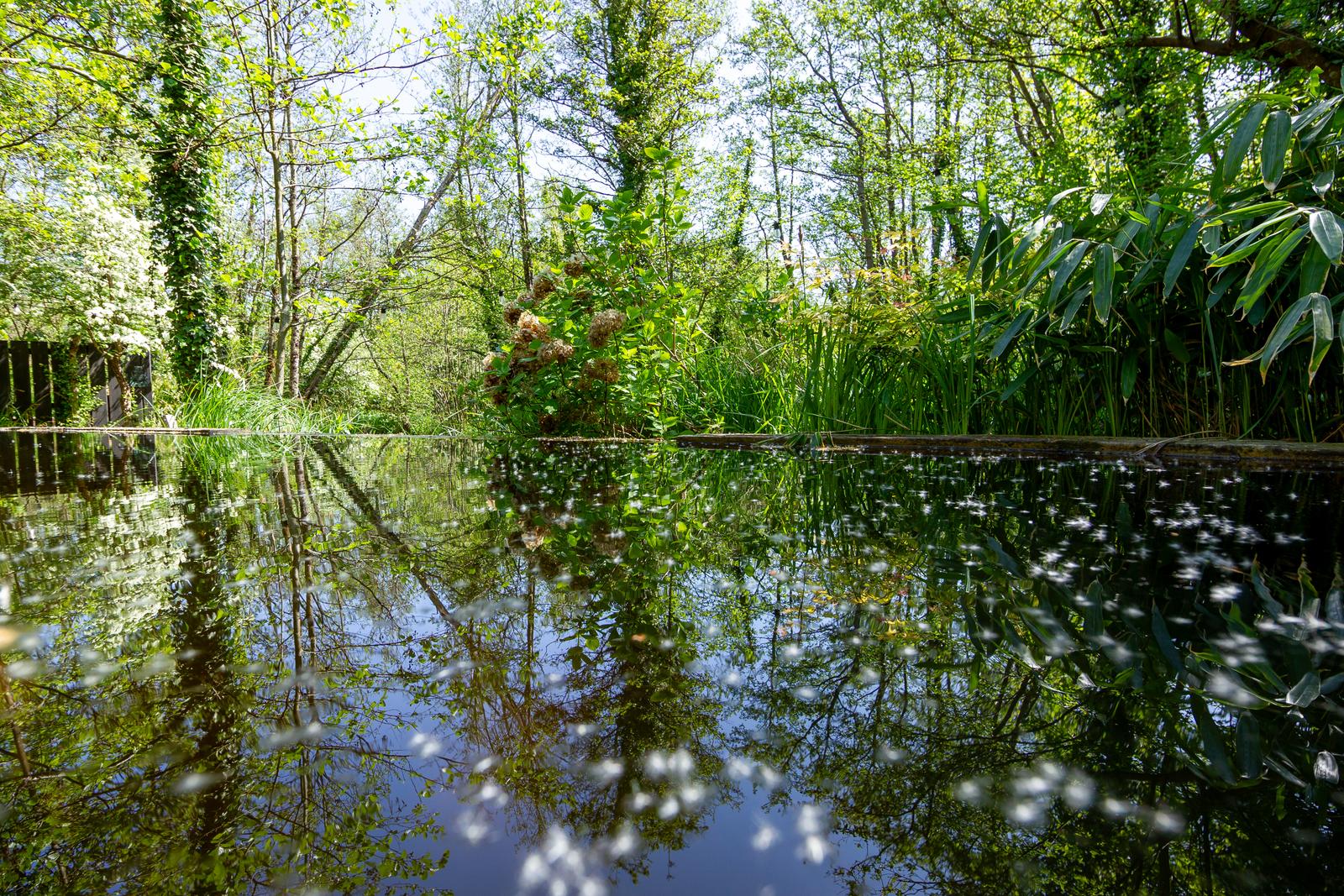 Saint-Quentin-en-Tourmont : Ecolodges en Baie de Somme lodge Forest 13