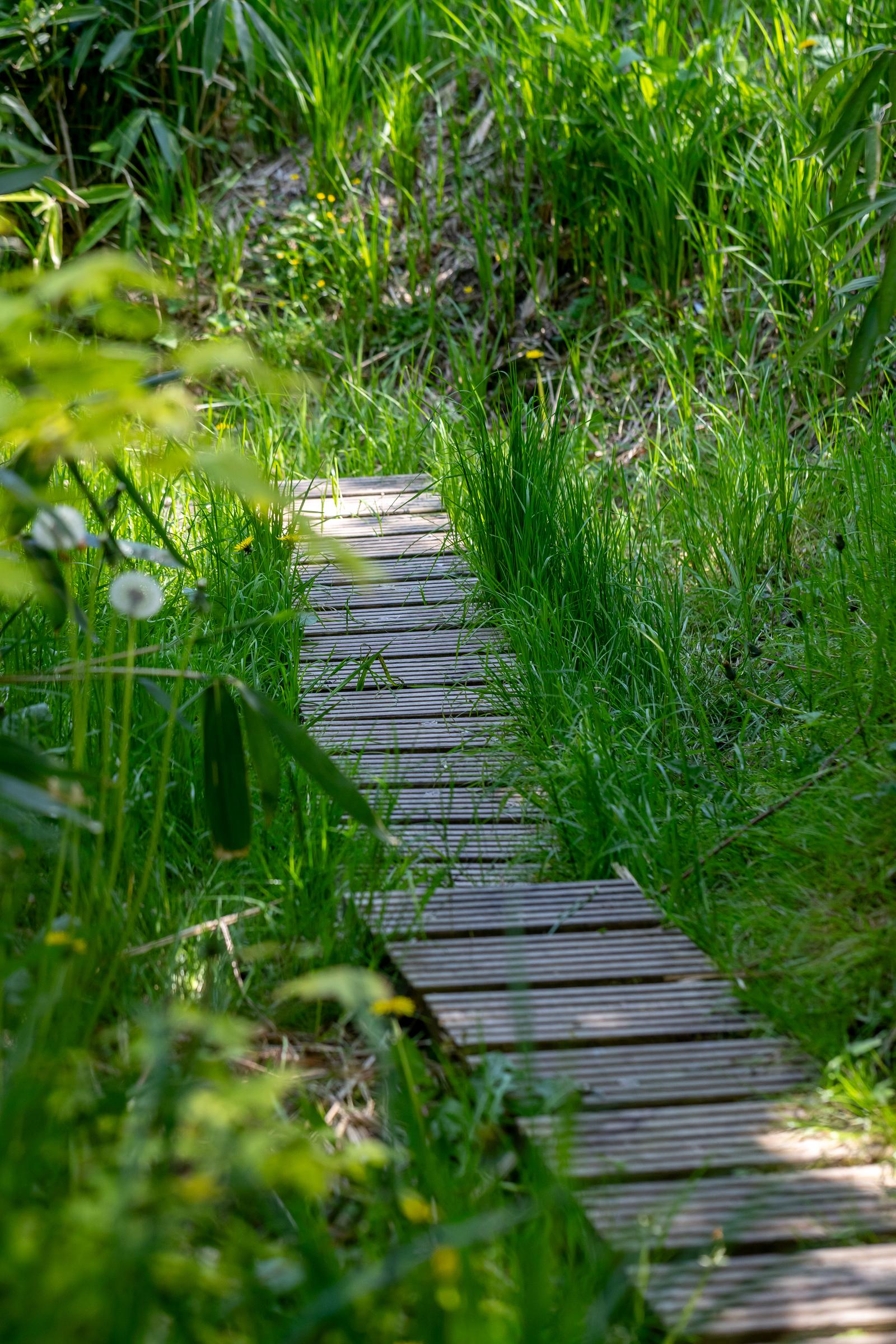 Saint-Quentin-en-Tourmont : Ecolodges en Baie de Somme lodge Forest 22