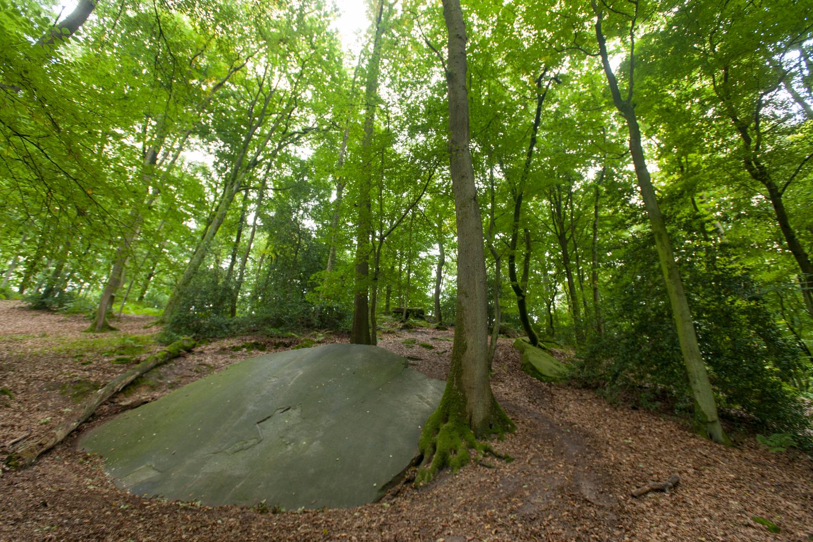 Menhir Pierre Clouise Forêt de Retz 05