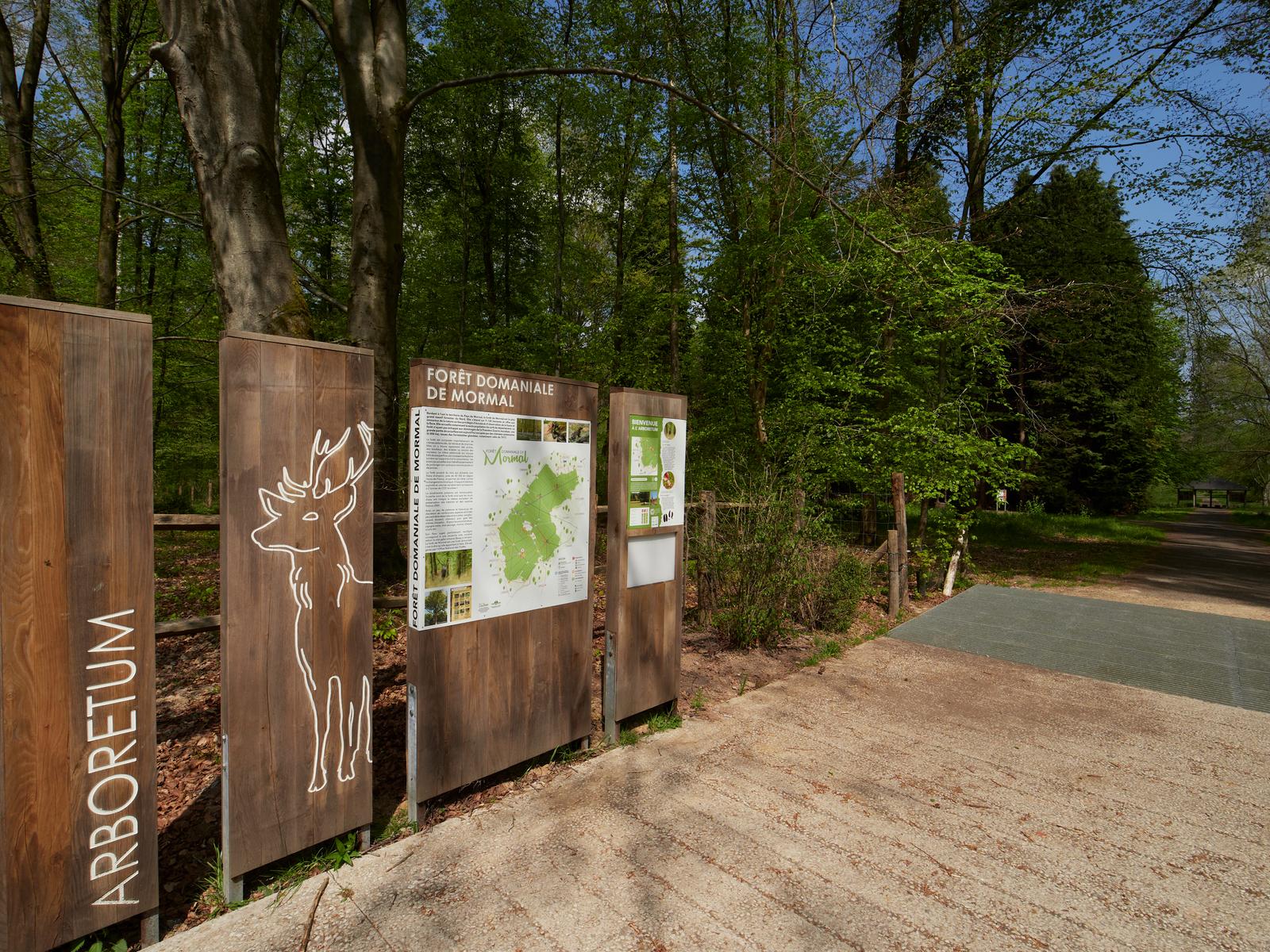 Forêt de Mormal 01