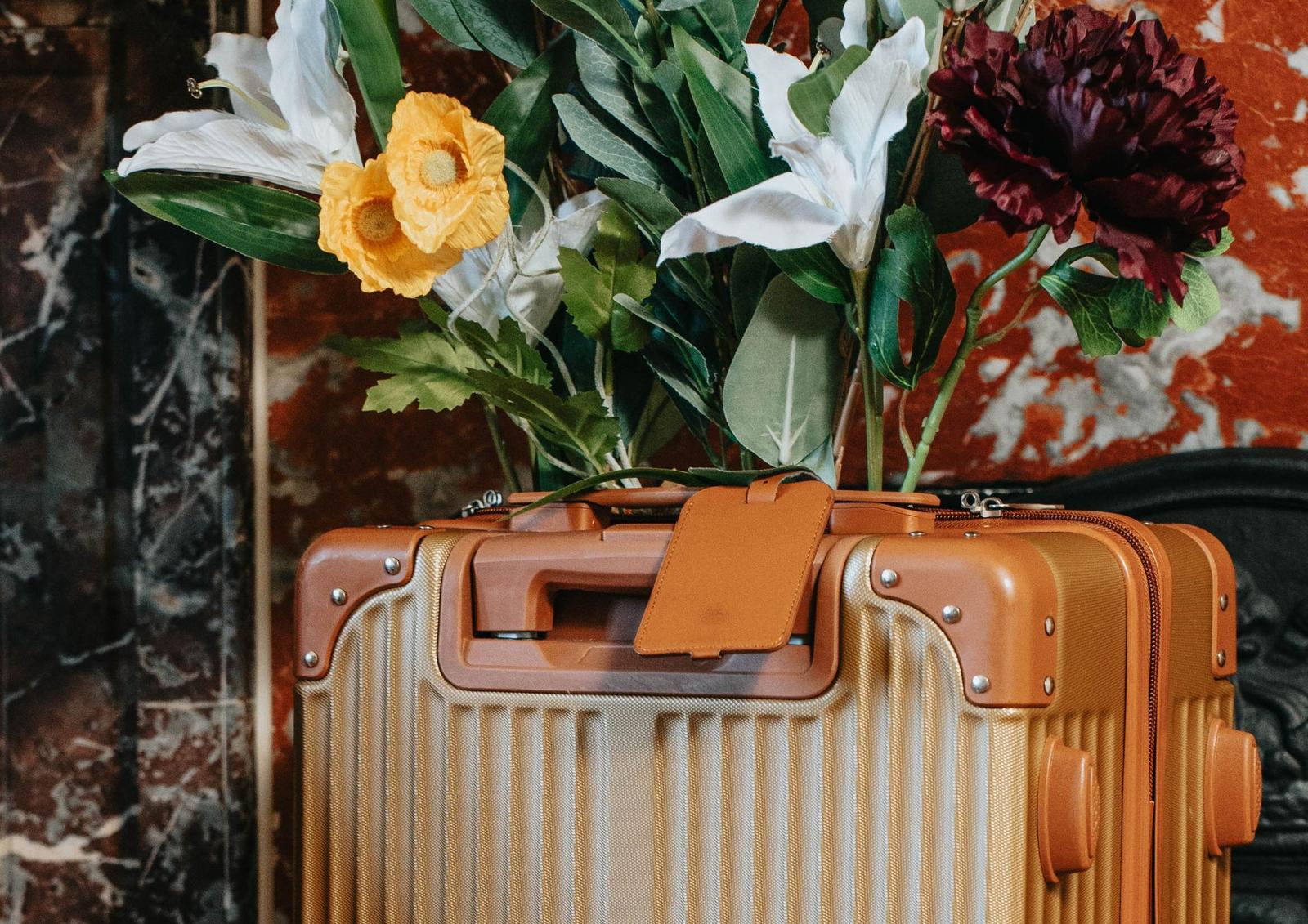 Gouvieux : Hôtel Jeanne and the Forest 02