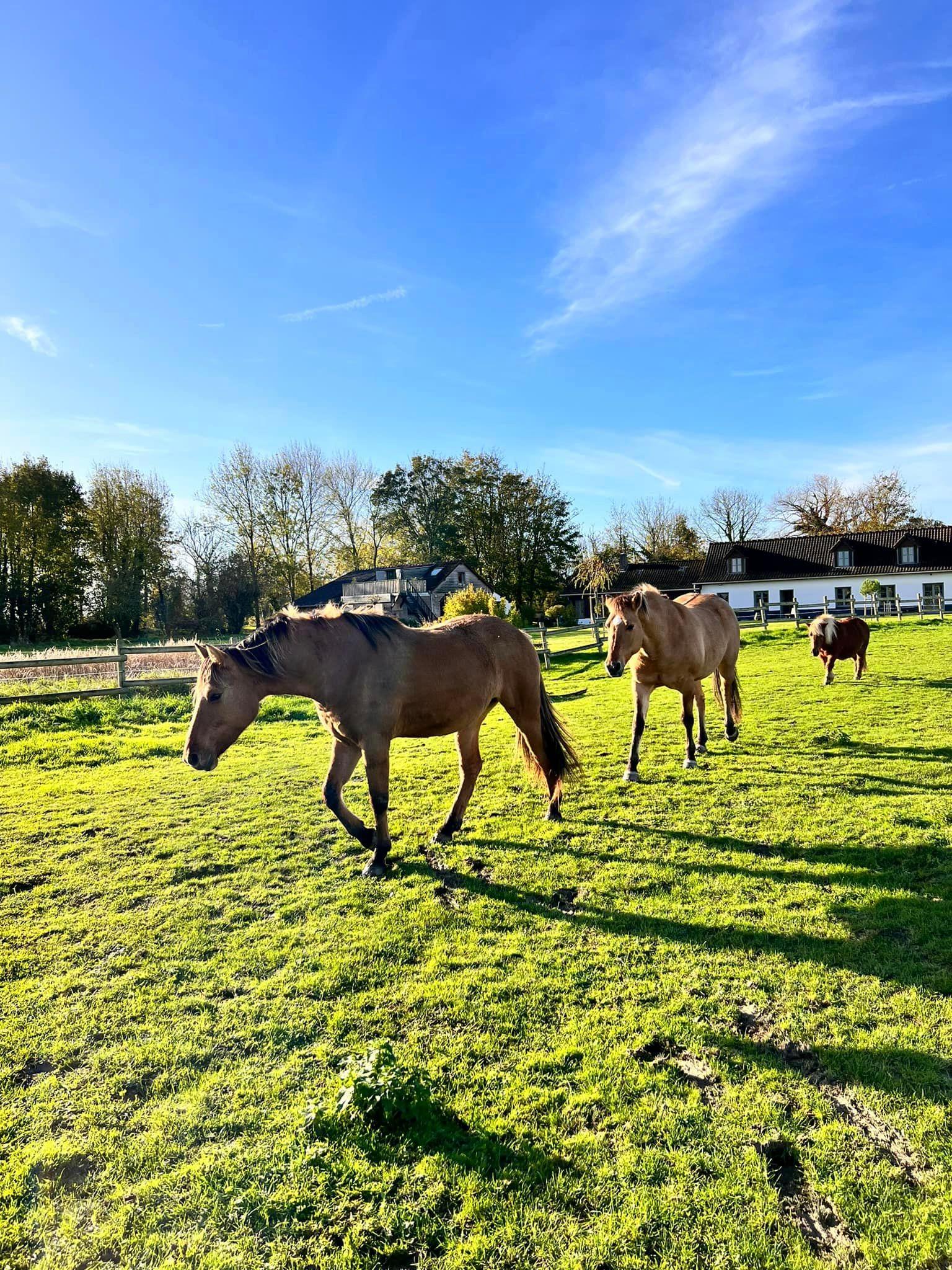 Quend : La Vieille Ecluse 33
