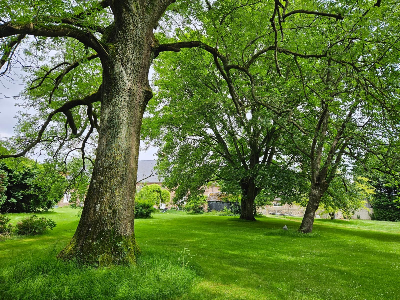 Bernay-en-Ponthieu : Domaine des Célestins