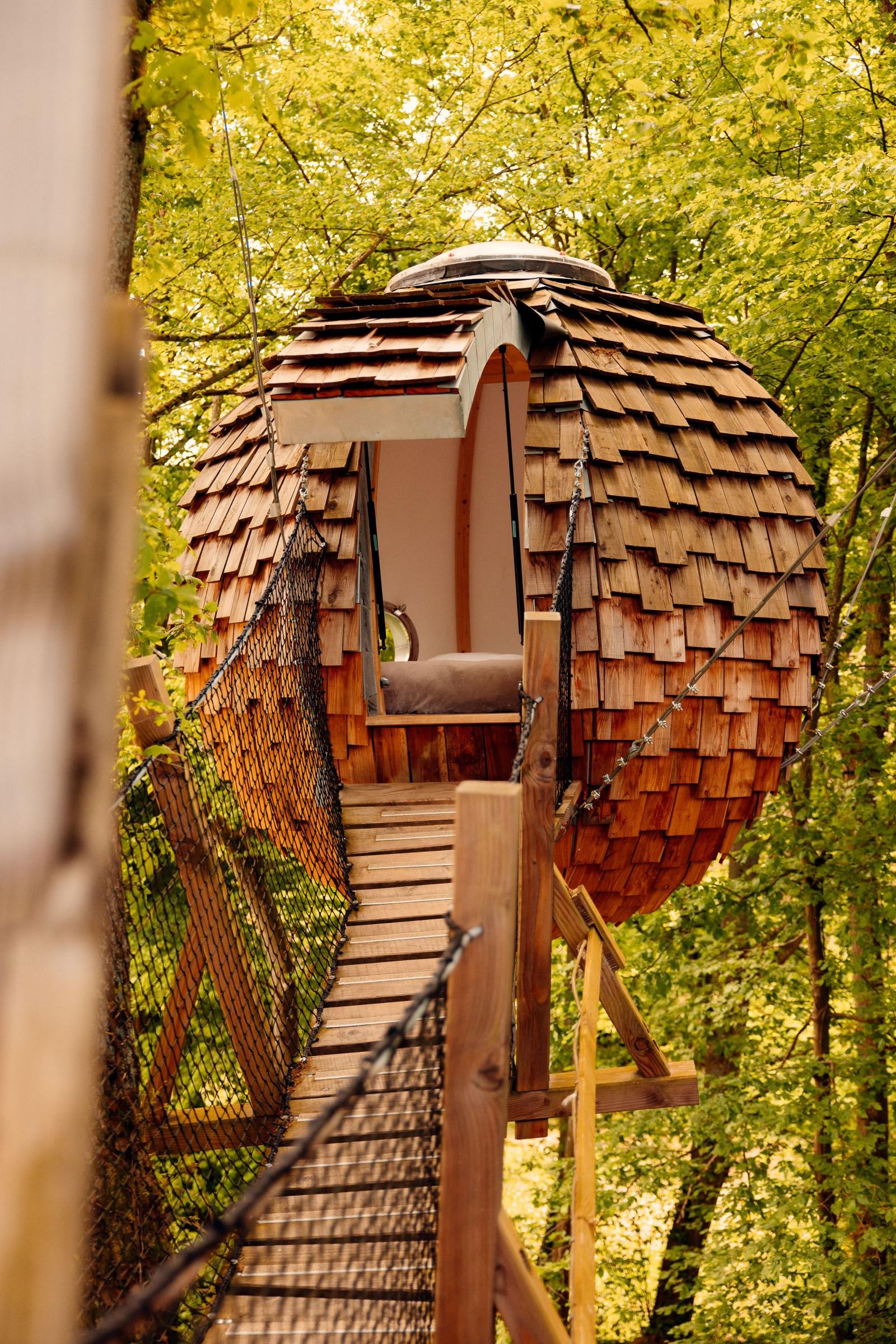 Le Bois de RosoyPassion cocoon Bois de Rosoy crédit - Elsa et Cyril Mai 2022 (2)