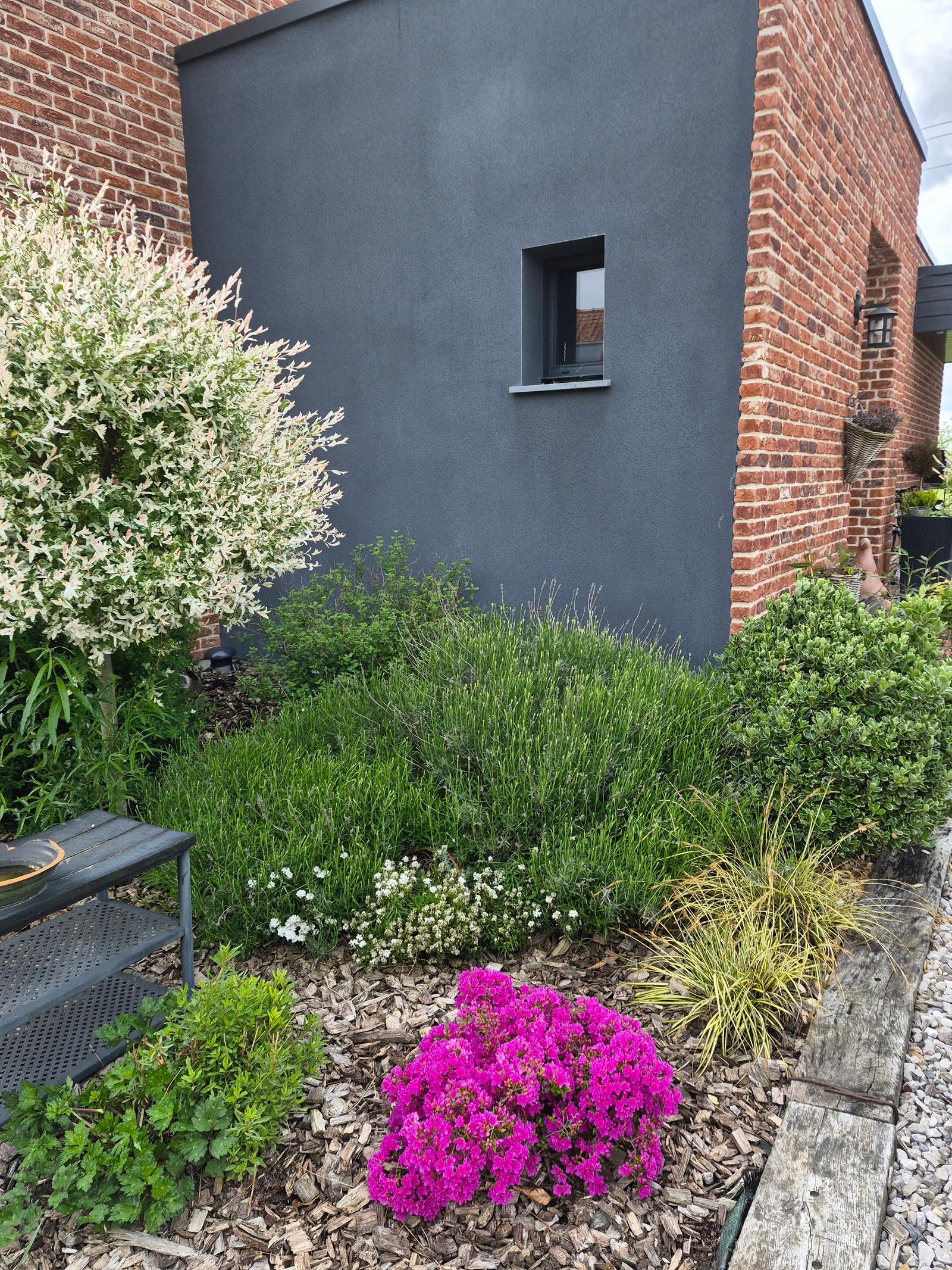 Détente de la Lys