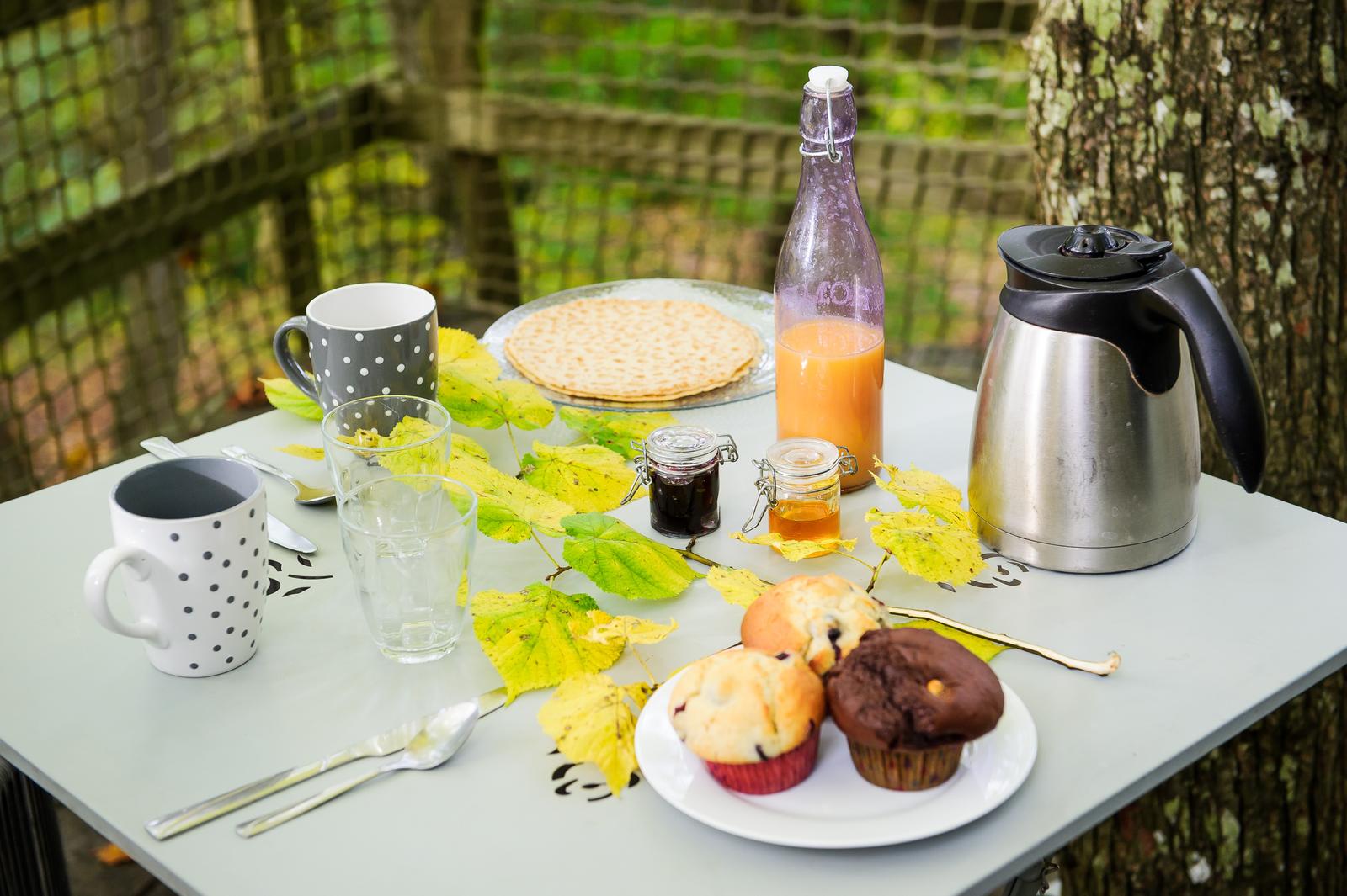 Pronleroy : cabane dans les arbres, les Naturelles Insolites 06