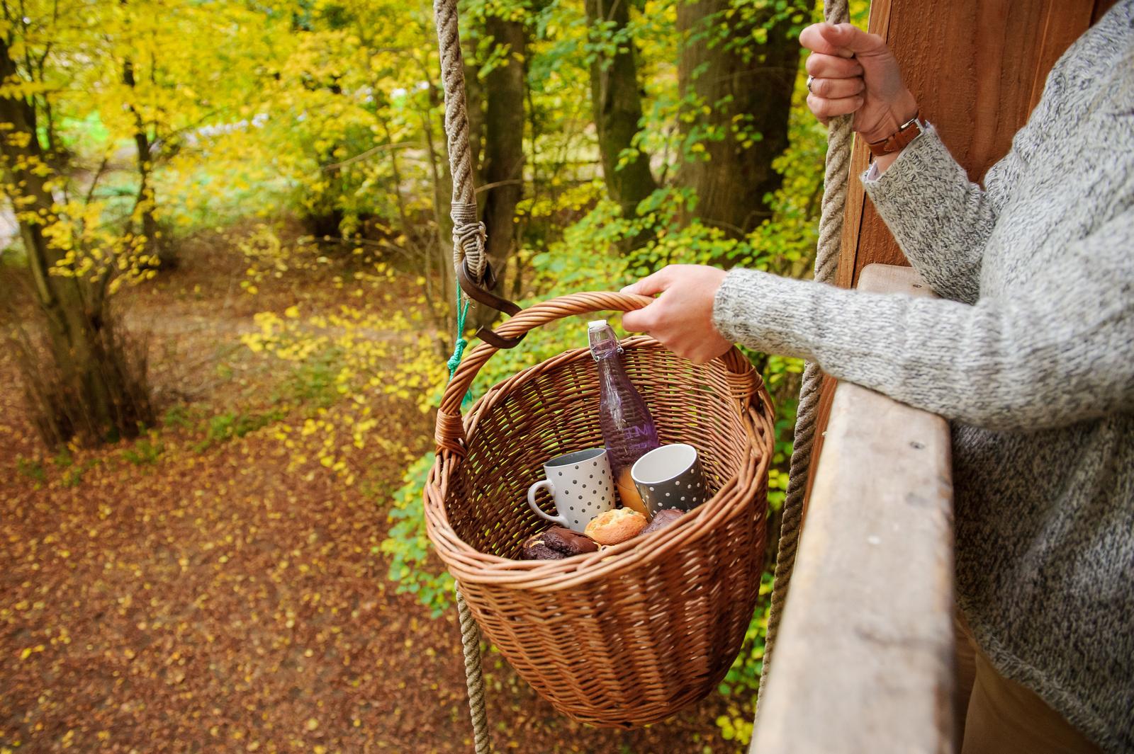 Pronleroy : cabane dans les arbres, les Naturelles Insolites 11