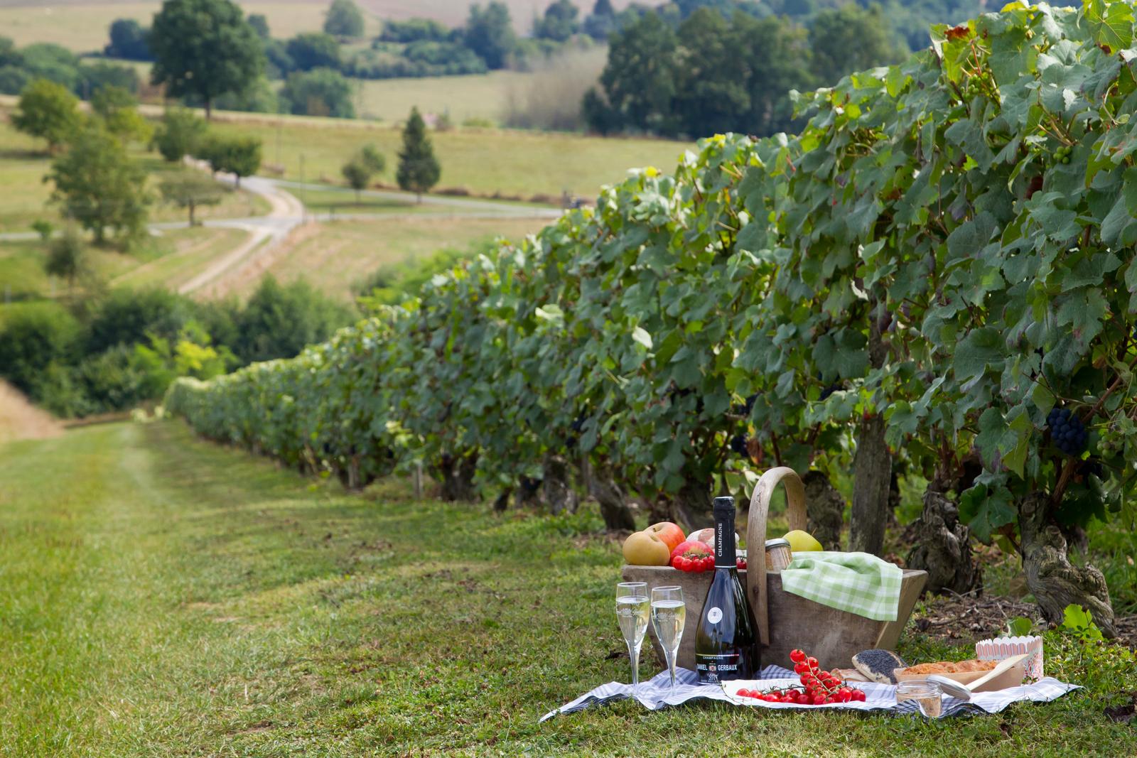 Vignobles de Champagne - Chezy Sur Marne - 3