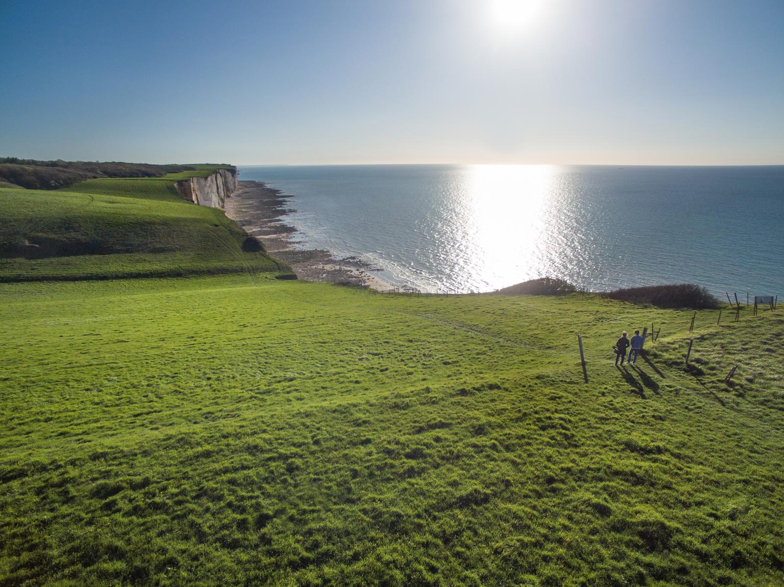 Vue aérienne sur le bois de Cise au coucher du soleil