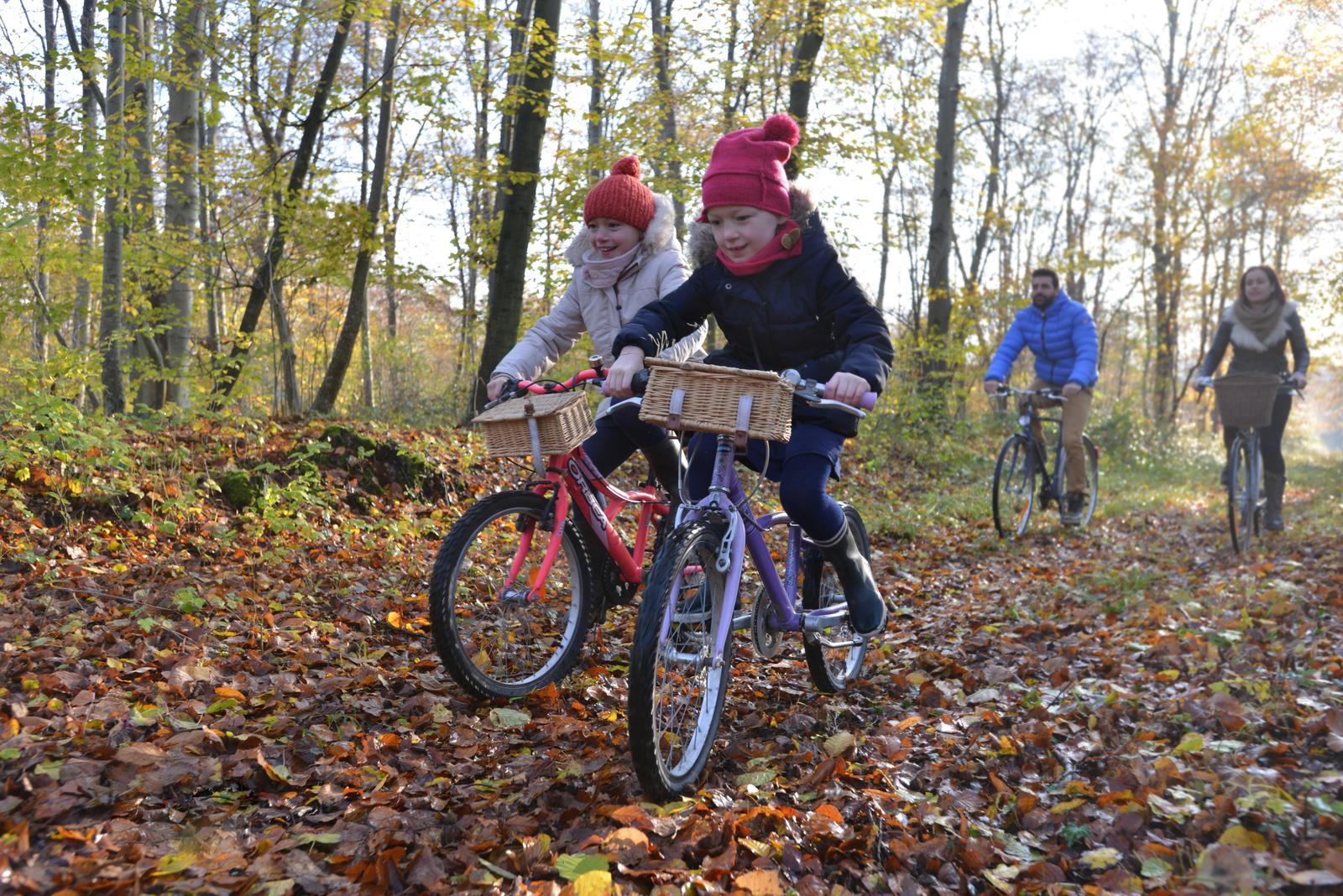 NB1116CompiegneForeÌt_0967