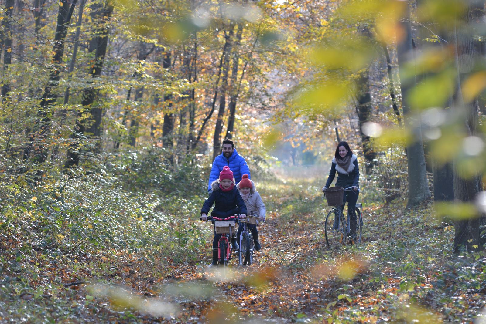 NB1116CompiegneForêt_1001