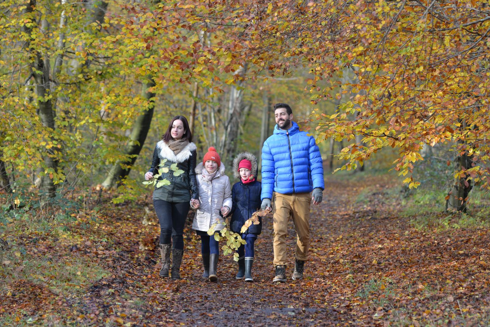 forêt de Compiègne automne