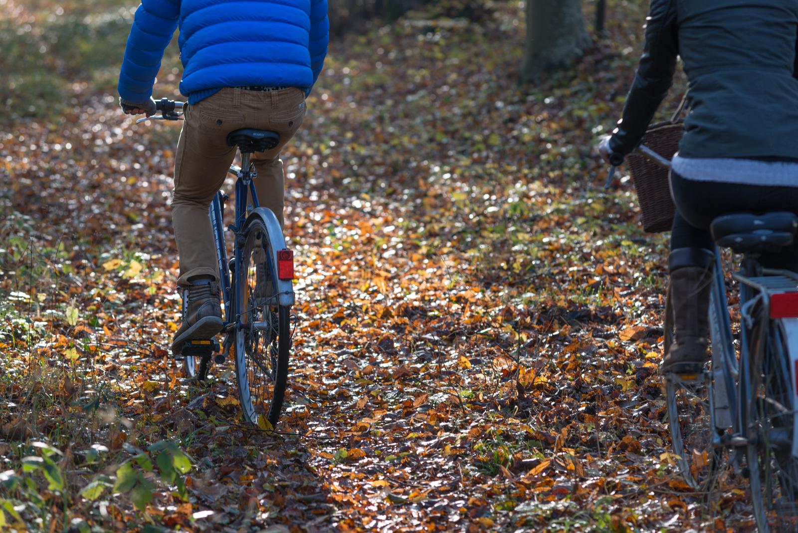Forêt de Compiègne en automne : couple de cyclistes (12)
