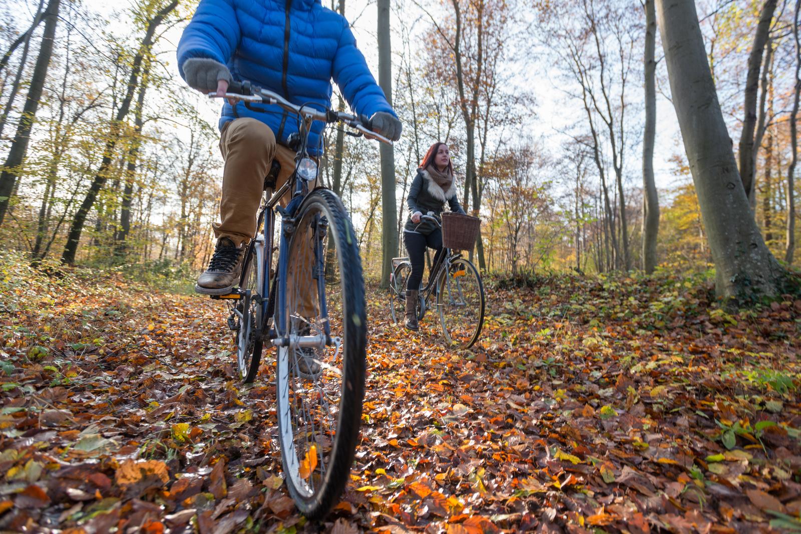 Forêt de Compiègne en automne : cyclistes