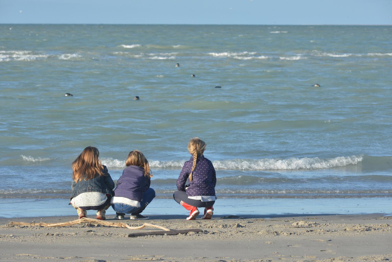 Cayeux-sur-Mer : plage de la Mollière