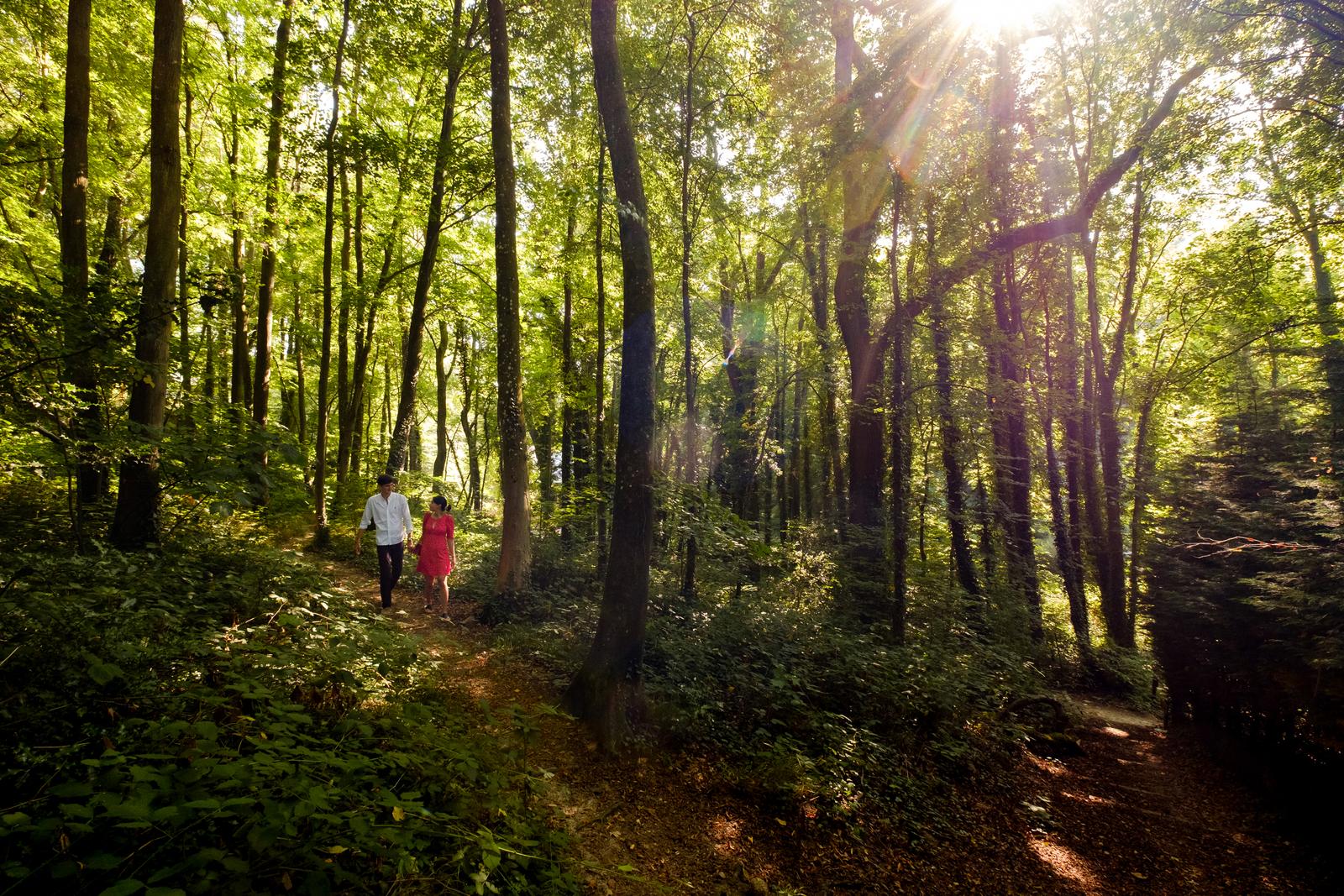 Ault - Le Bois de Cise - Les Hublots - 21