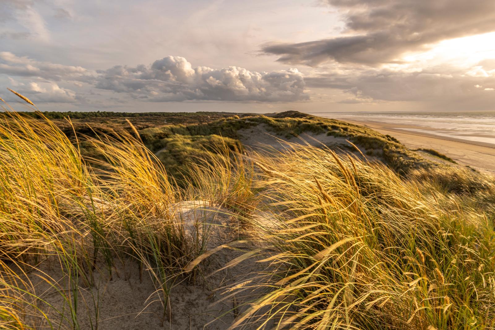 Quend-Plage : dunes et oyats