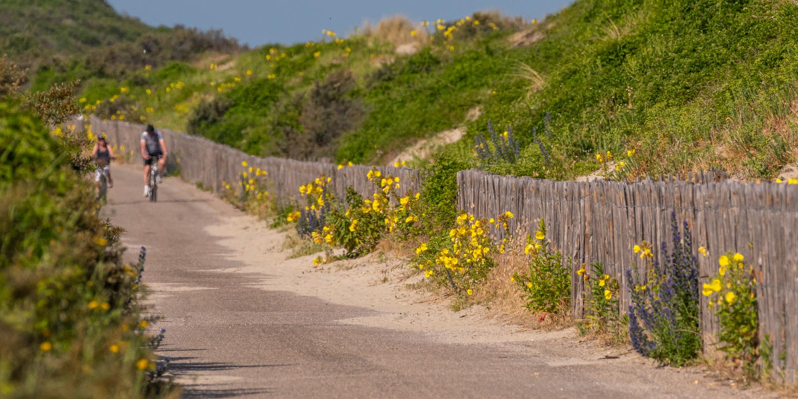 Cayeux-sur-Mer : route blanche à vélo