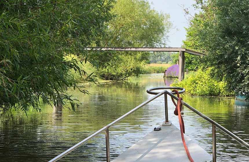Les marais de Saint Omer sont juste à côté aussi : louez une barque !