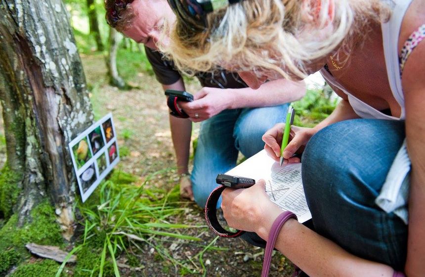 Une “chasse au trésor” en forêt à l’aide d’une carte, d’une boussole ou du GPS
