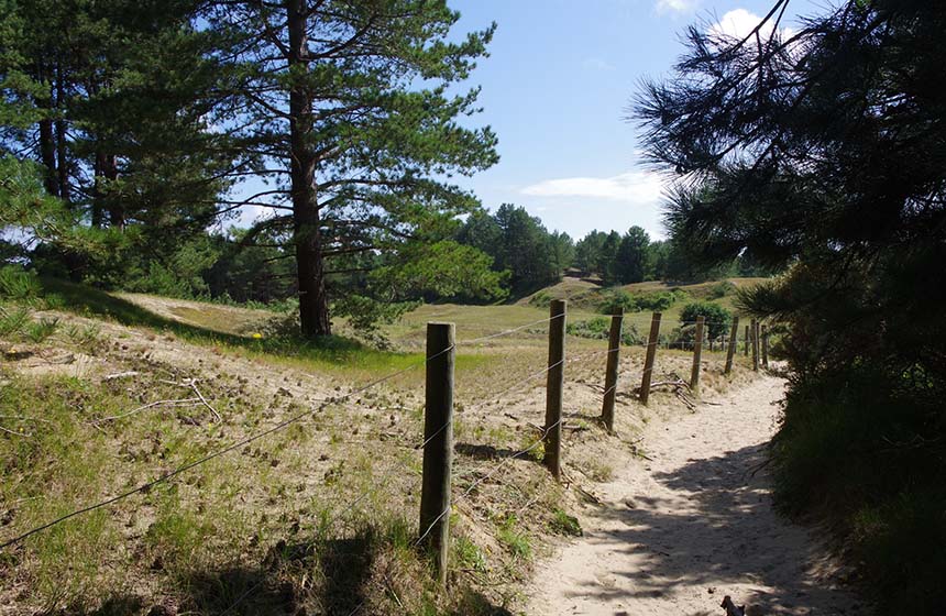 Le sentier qui mène aux dunes du Mont Saint Frieux
