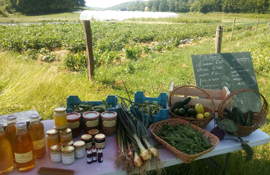 Récolte des légumes bio à la ferme Les Reines des Près à Méreaucourt