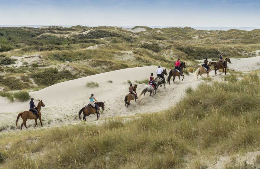 Arpenter les dunes de sable jusqu’à la mer. On y croise souvent des cavaliers !