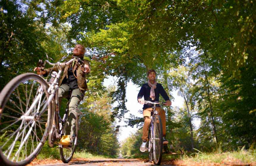 Louez des vélos (on vous les amène) et baladez-vous en forêt