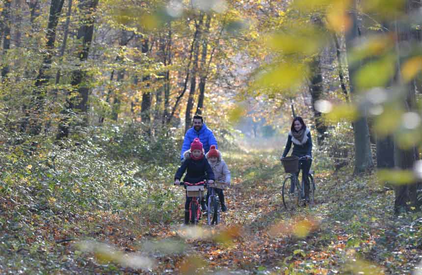 Balade à vélo en forêt d’Eu en famille