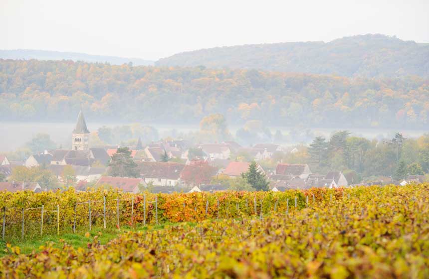 Balade dans les vignes sur la Route du Champagne