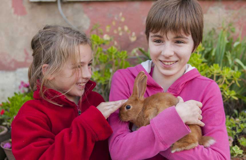 Câliner les lapins à la Fermette des Ramolleux. Les enfants adorent !