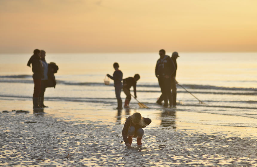 Cayeux-sur-Mer : chasse aux coquillages sur la plage