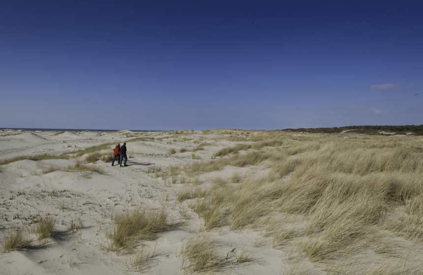 Les dunes du Marquenterre à perte de vue 