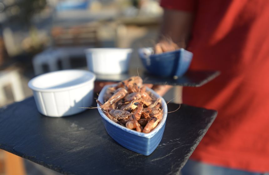 Les crevettes grises : une spécialité d'ici (délicieux à l'apéro)