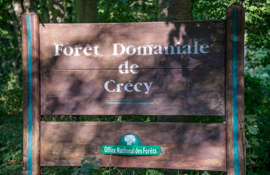 Forêt de Crécy  à 2 pas du Manoir