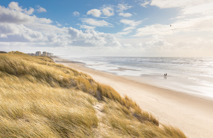 Hardelot - la plage vue depuis les dunes d'Écault 