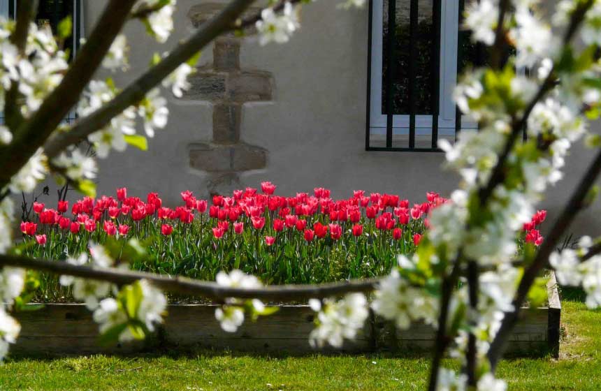 Chambres d'hôtes L'Echappée Belle - Jardin fleuri - Cauvigny