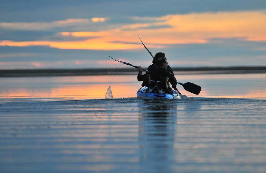Sortie en kayak de mer à la rencontre des phoques