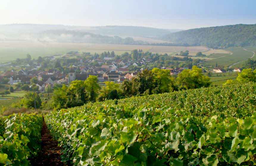 La route du champagne dans le sud de l’Aisne