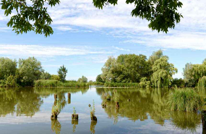Les étangs de Clairmarais